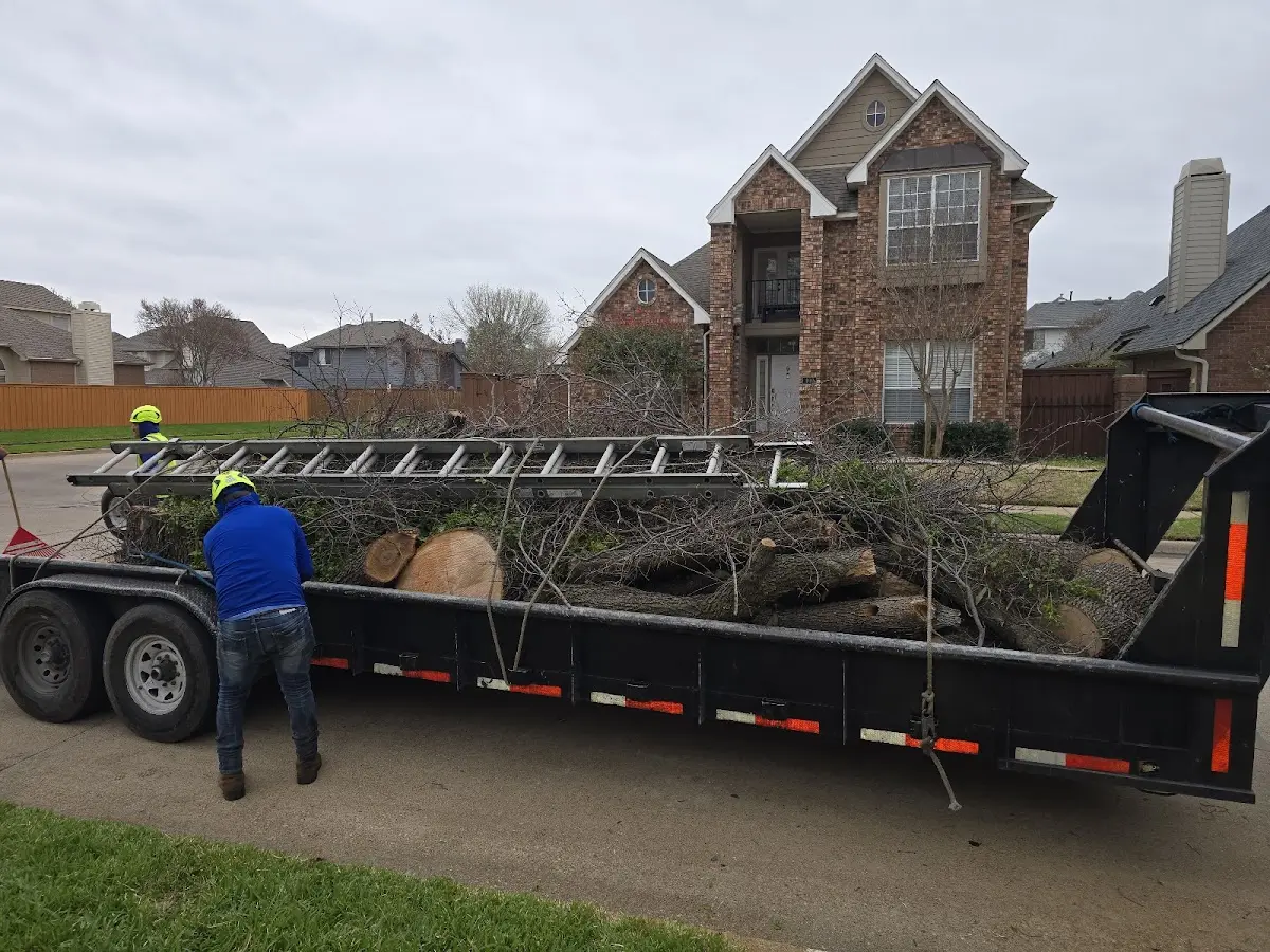 Expert Tree Fertilization with proper safety equipment in Lombard